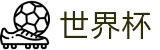 世界杯 · 私密安全通道享玩